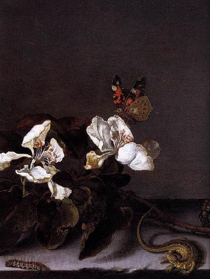 Balthasar van der Ast Still-Life with Apple Blossoms Spain oil painting art